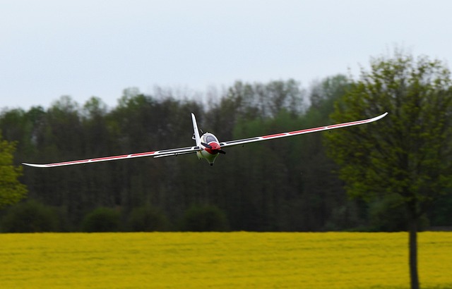 Free Glider Pilot Air Sports photo and picture