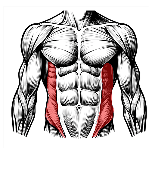 Free Fitness Man illustration and picture