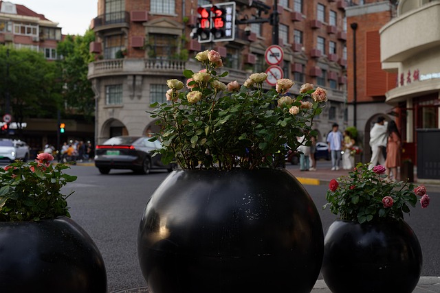 Camino De Wukang, Ciudad