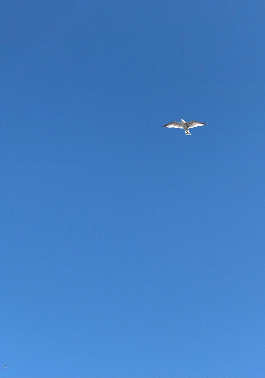 Photography Tips for Capturing the Perfect Cielo Despejado