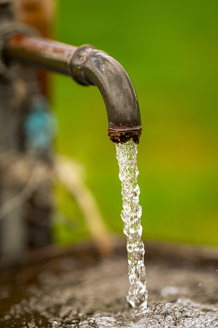 Free Fountain Water photo and picture