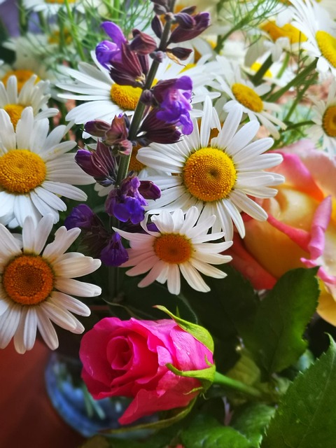 Free Bouquet Chamomile photo and picture