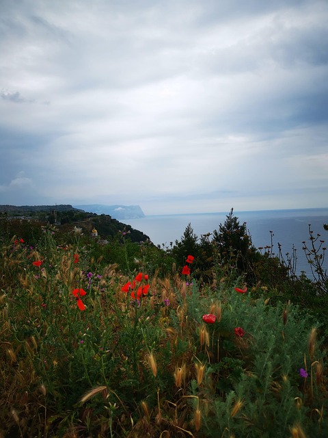 Free Landscape Mountains photo and picture