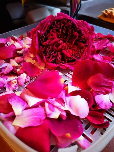 Free Petals Tea photo and picture