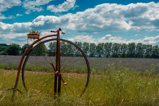 Bicicletă, Coş, Nostalgie, Rural