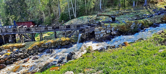 Free Rapids Nature photo and picture