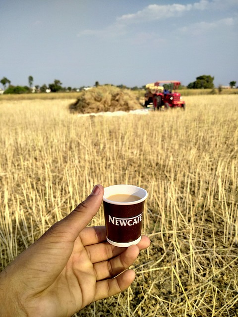 Free Tea Drink photo and picture