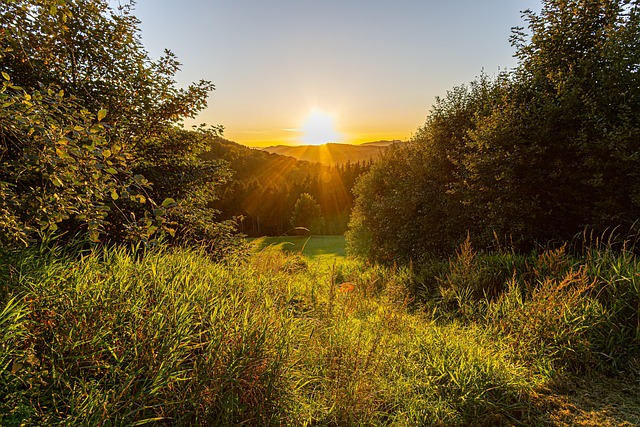 Free Sunset Nature photo and picture