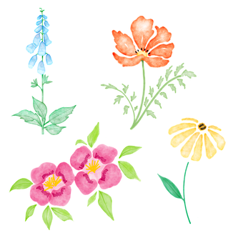 수채화 꽃, 꽃, 투명한, 꽃 이미지, 손으로 그린
