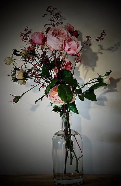 Rosas, Desespero Do Pintor, Jardim