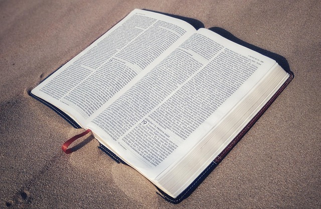 Free Biblia Sagradas Escrituras photo and picture