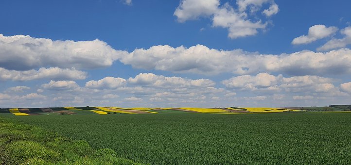 Free Spring Landscape photo and picture