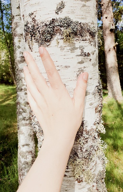 Free Hand Fingers photo and picture