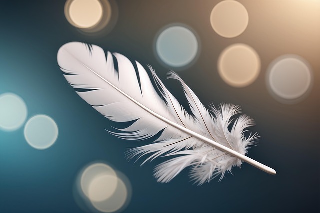 Free feather nature texture illustration