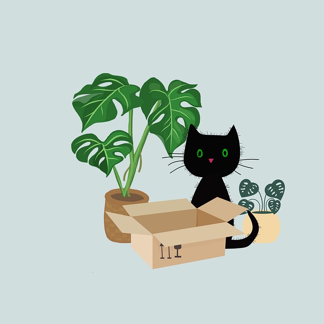 Download free HD stock image of Cat Kitten Free cat kitten box illustration
