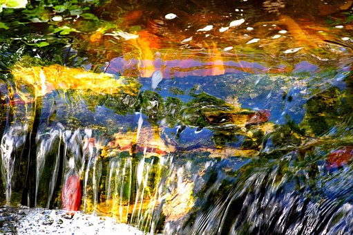 Free Water Reflection photo and picture