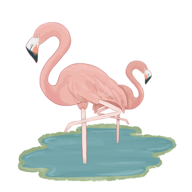 Free flamingo pond bird illustration