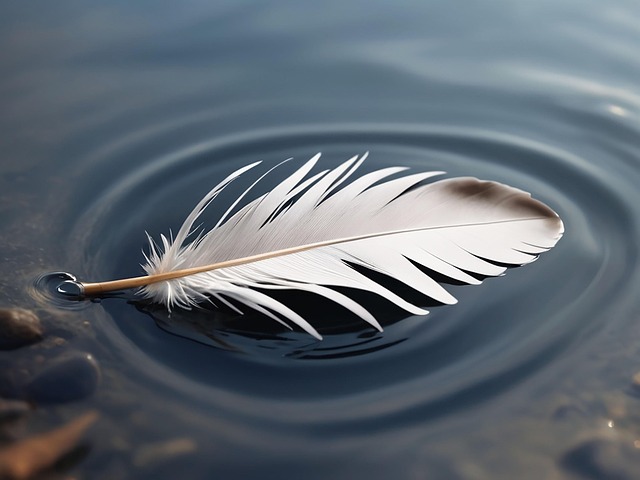 Download free HD stock image of Feather Nature Free feather nature plumage illustration