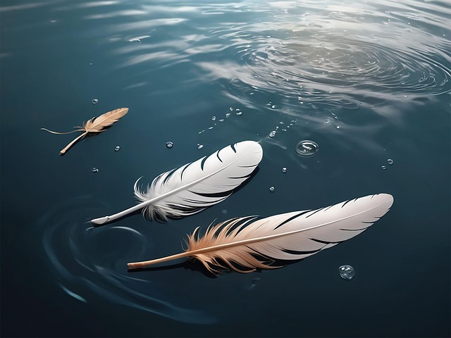 Download free HD stock image of Feathers Nature Free feathers nature plumage illustration