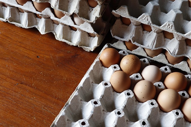 Free ai generated eggs good health illustration