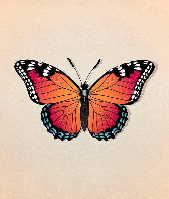 Free butterfly bug fauna illustration