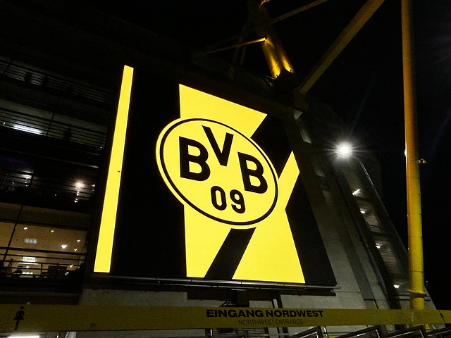 Free Borussia Dortmund photo and picture