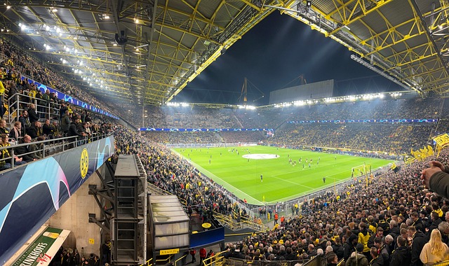 Free Bvb Borussia photo and picture