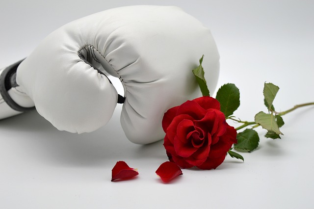 Floral Rose Print Boxing Gloves