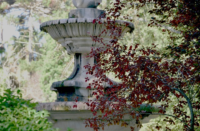 Free Fountain Botanical Garden photo and picture