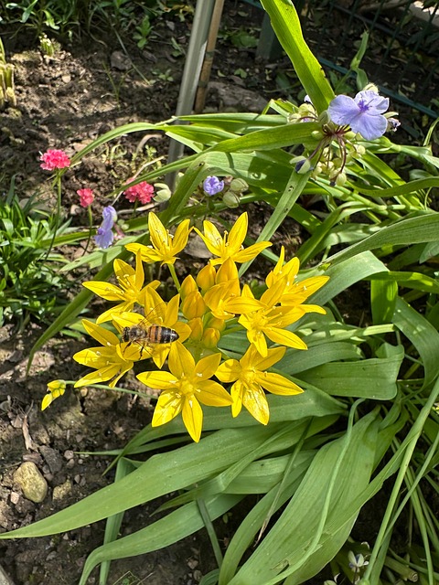 Free Spring Summer photo and picture