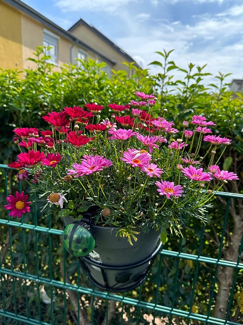 Free Spring Summer photo and picture