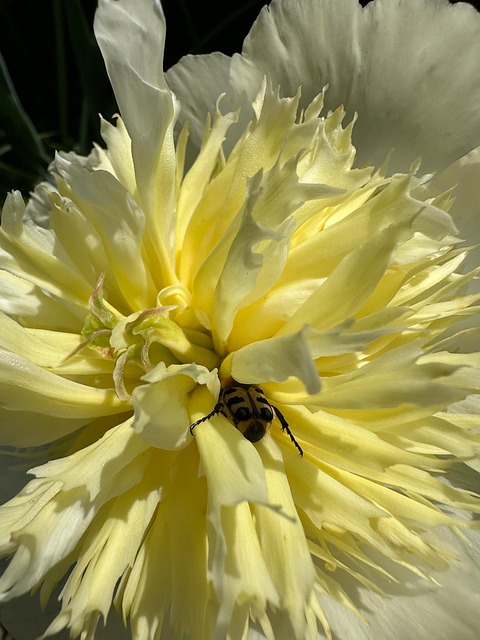 Free Spring Summer photo and picture
