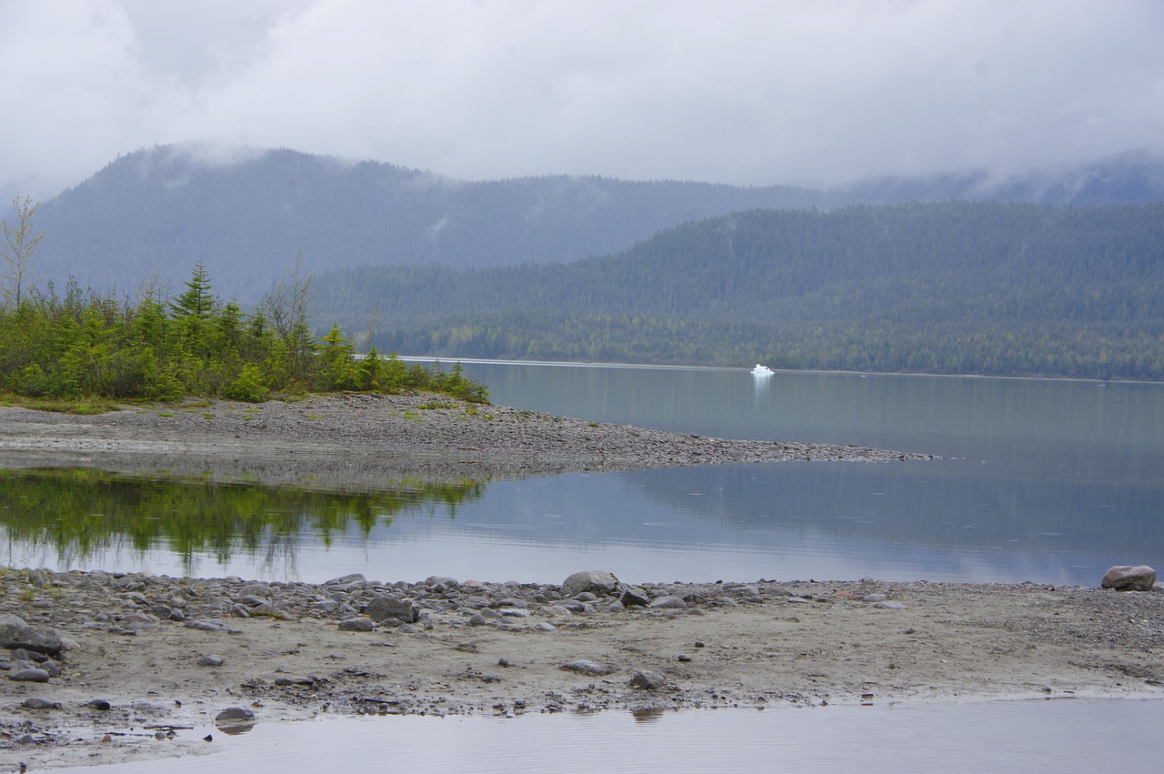 ALASKA S MENDENHALL GLACIER visual data 5