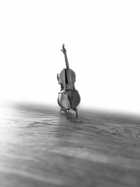 Muziek, Instrument, Musicus, Klassiek