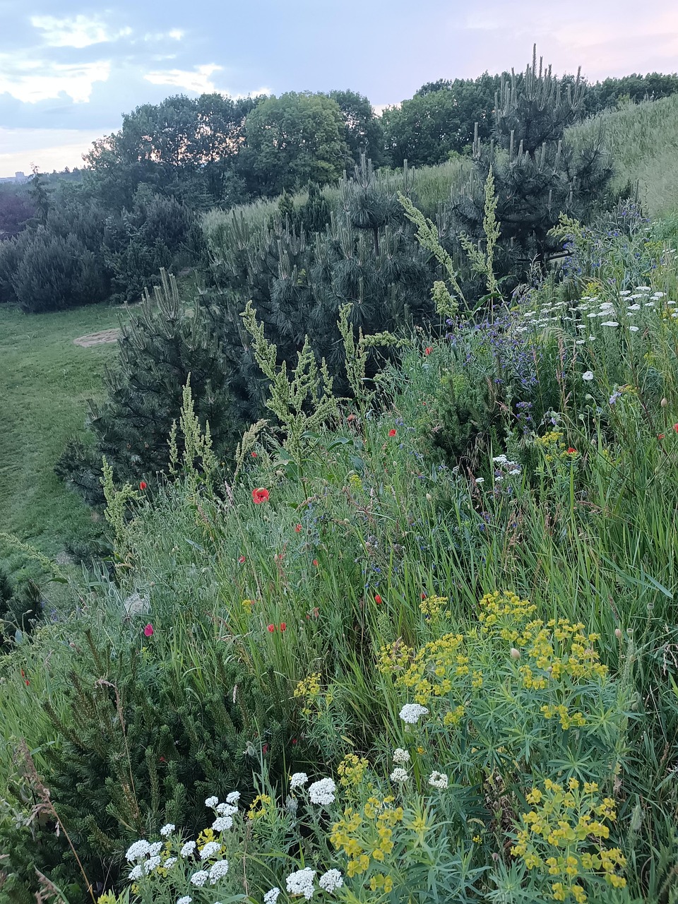Nature Loading Nature Meadow Sky - Free photo on Pixabay - Pixabay