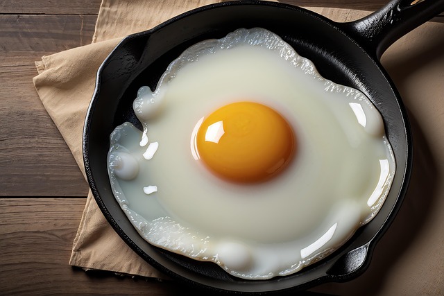 Free egg food protein illustration