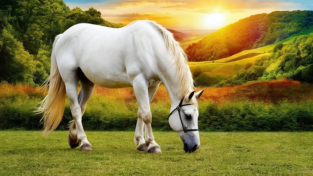 Horse, Meadow, Animal, Art, Picture