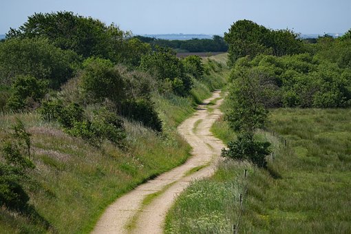 Natură, Tăiați Pajiști, Drum De Câmp