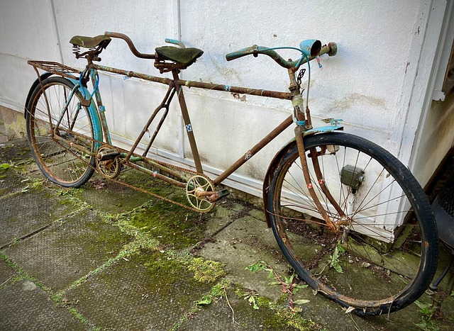 Free Tandem Bicycle photo and picture