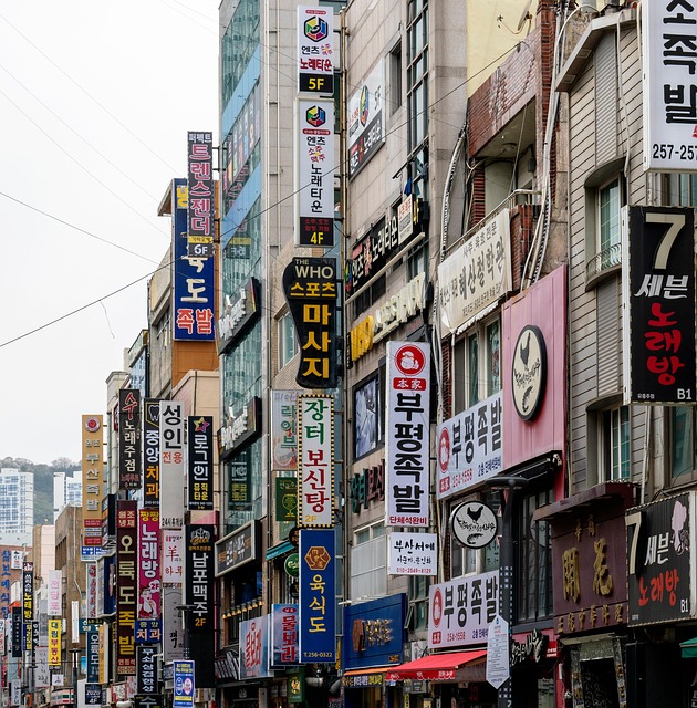 Free City Shanghai photo and picture