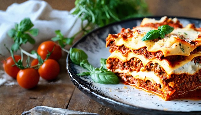 Free lasagna pasta food illustration