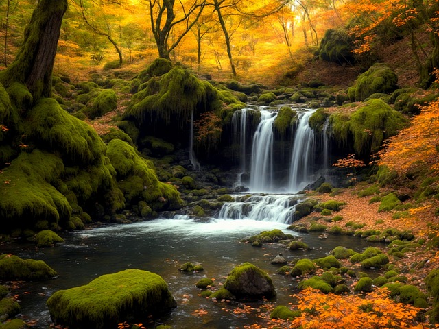 Free wasserfall urwald wald illustration