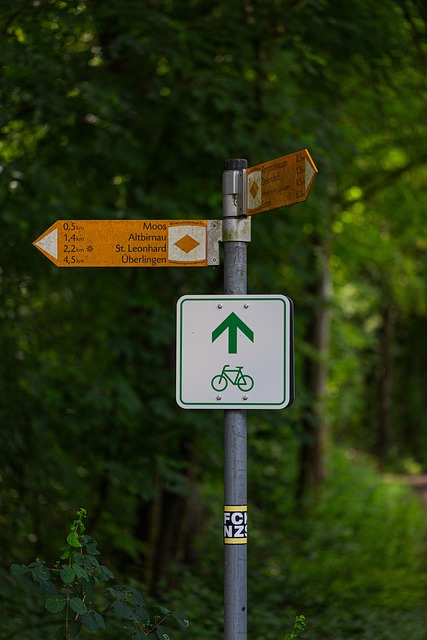 Smerovník, Smer, Rozhodnutie, Cesta