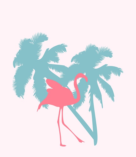 Free Bird Ornithology illustration and picture