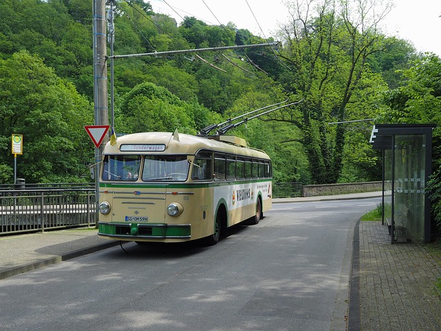 Free Solingen Bus photo and picture