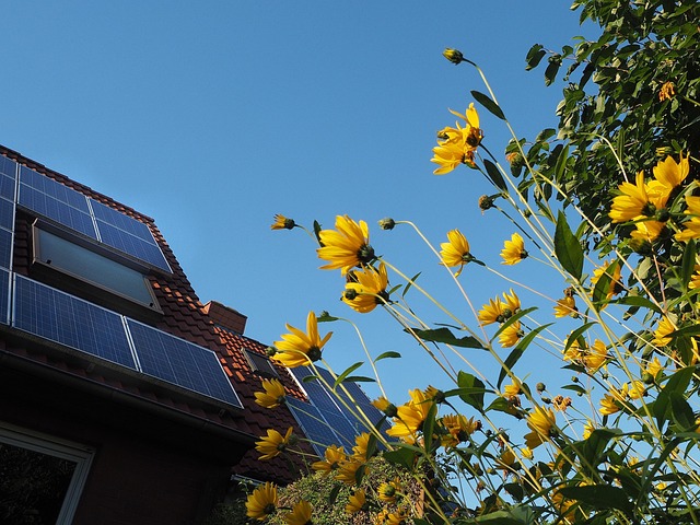 Free Sustainable Sustainability photo and picture