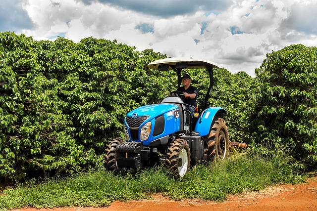 Agricultură, Tractor, Fermă, Cafea, Agro