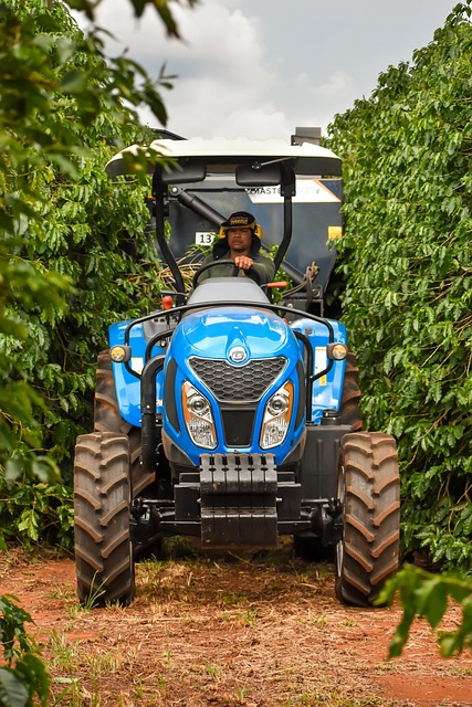 Tractor, Agro, Agricultură, Recolta