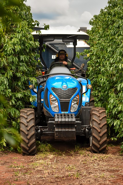 Tractor, Agro, Agricultură, Recolta