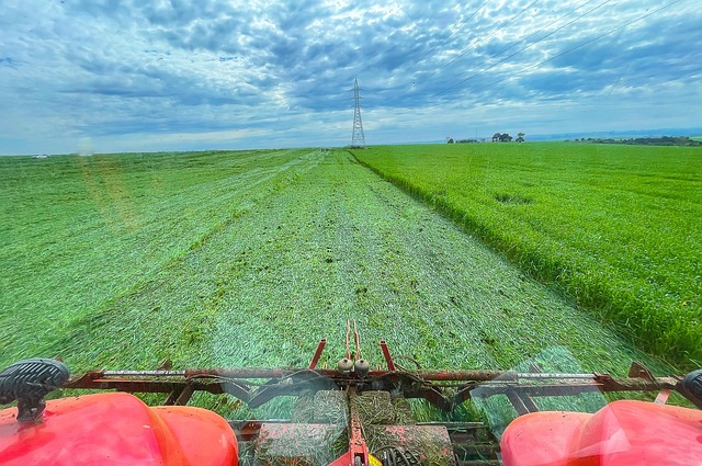 Agro, Pășune, Tractor, Rostogolire